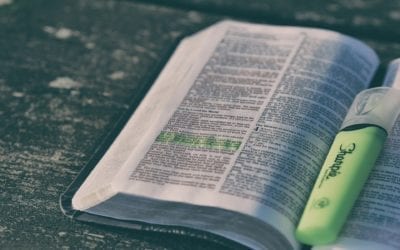 Bibelstudium – freie Zeiten nutzen um näher an Gottes Herz zu kommen
