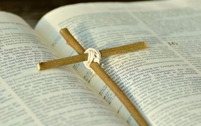 Gemeinsam die Apostelgeschichte lesen