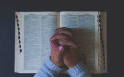 Warum Bibellesen? | Wie kann ich die einzelnen Bücher verstehen?
