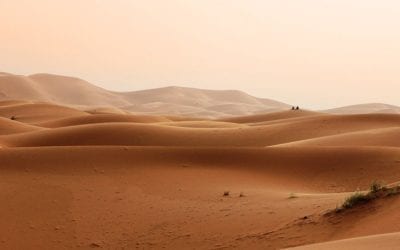 Wüste | Zwischenland: Halt finden in Zeiten des Umbruchs